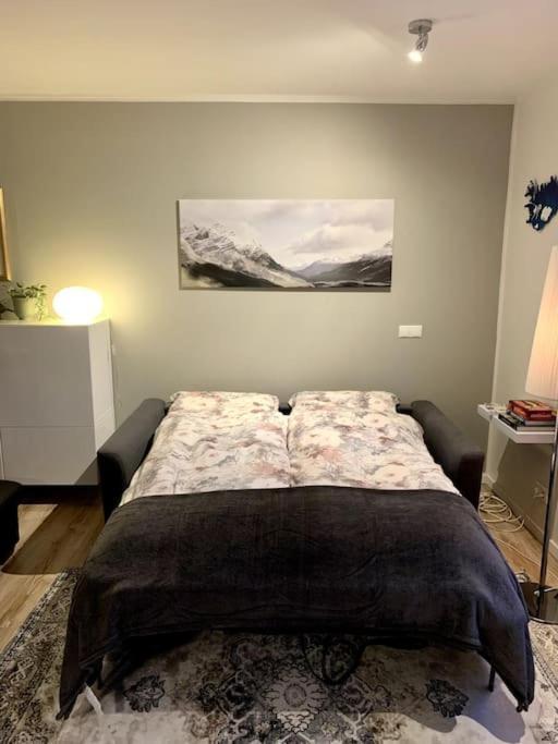 Cosy One Bedroom Apartment In เรคยาวิก ภายนอก รูปภาพ